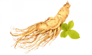 Ginseng