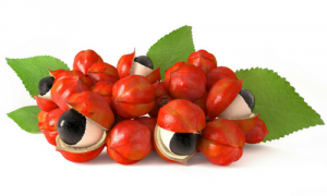 Guarana