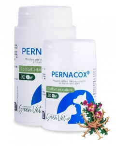 PERNACOX